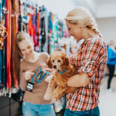 thumbnail of Pets Live a Happier Life When You Have The Right Supplies